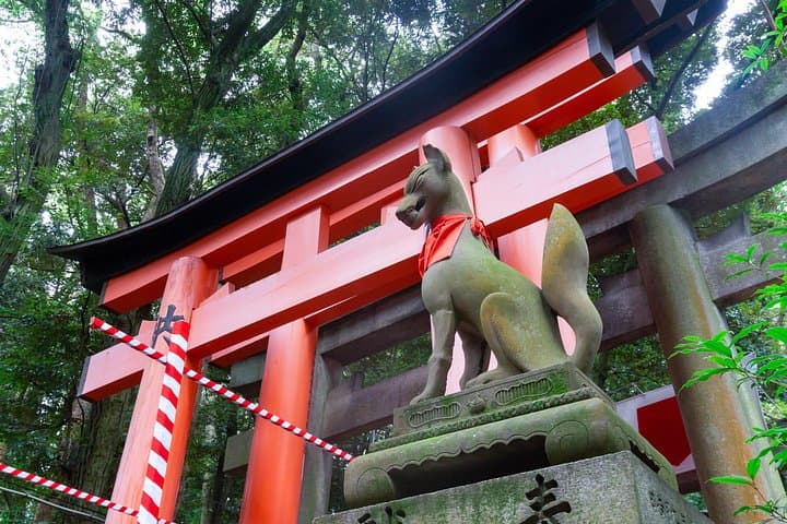 Full-Day Kyoto Private Charter: Fushimi Inari, Kiyomizu & Arashiyama in One Day photo 2