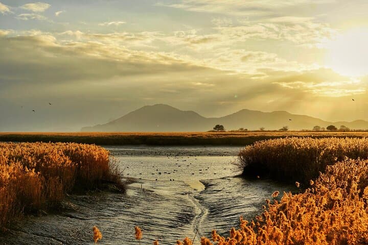 Discover Western Korea in 4 Days: Cultural Highlights & Suncheon Bay Wetlands photo 3