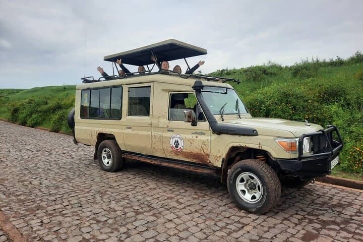 Full-Day Safari in Tarangire National Park: Elephants, Baobabs & Birdlife