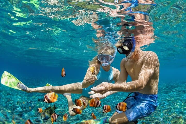 Dimaniyat Island Snorkeling & Picnic: Half‑Day Marine Escape from Muscat photo 3