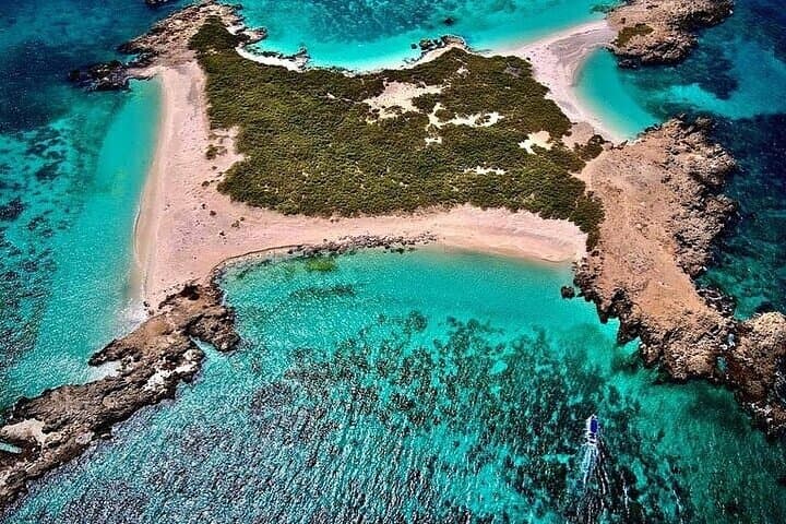 Dimaniyat Island Snorkeling & Picnic: Half‑Day Marine Escape from Muscat photo 5