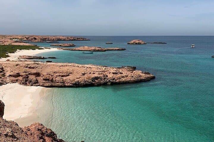 Dimaniyat Island Snorkeling & Picnic: Half‑Day Marine Escape from Muscat photo 4