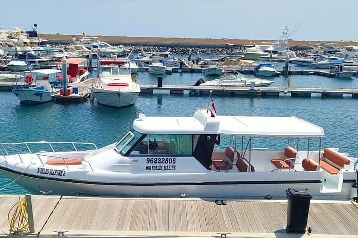 Dimaniyat Island Snorkeling & Picnic: Half‑Day Marine Escape from Muscat photo 6