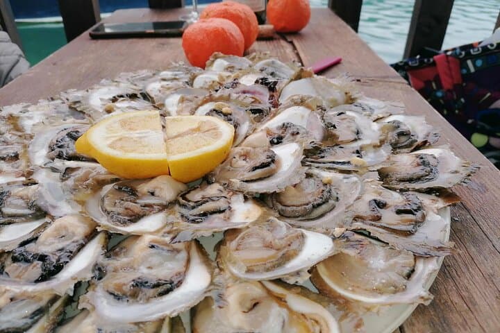 Private Day Trip to Pelješac: Trsteno Arboretum, Ston Walls, Wineries & Oysters from Dubrovnik photo 1