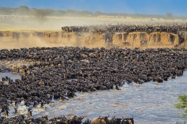Mara River Wildebeest Crossing: 5-Day Serengeti Migration Safari