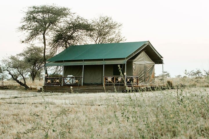 Mara River Wildebeest Crossing: 5-Day Serengeti Migration Safari photo 4