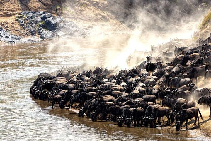 6-Day Mara River Wildebeest Migration Safari in the Northern Serengeti photo 1