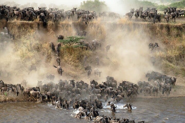 4-Day Serengeti Wildebeest Migration Safari — Mara River Crossings & Ngorongoro