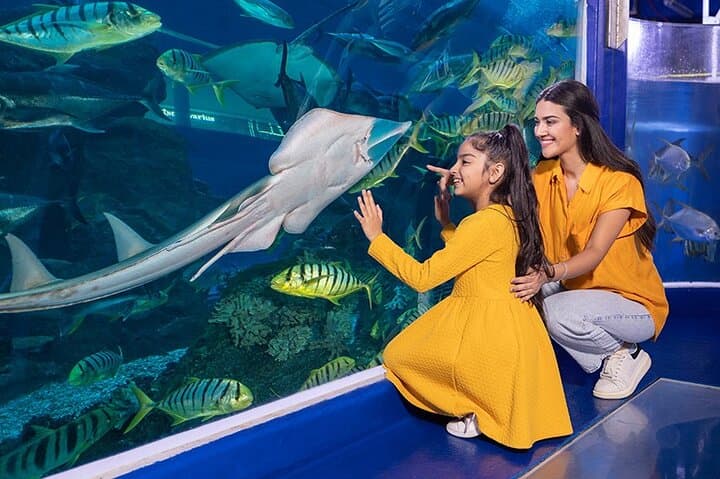 Inside Dubai Aquarium & Underwater Zoo: Walk the 48m Tunnel and Meet Sea Life photo 4