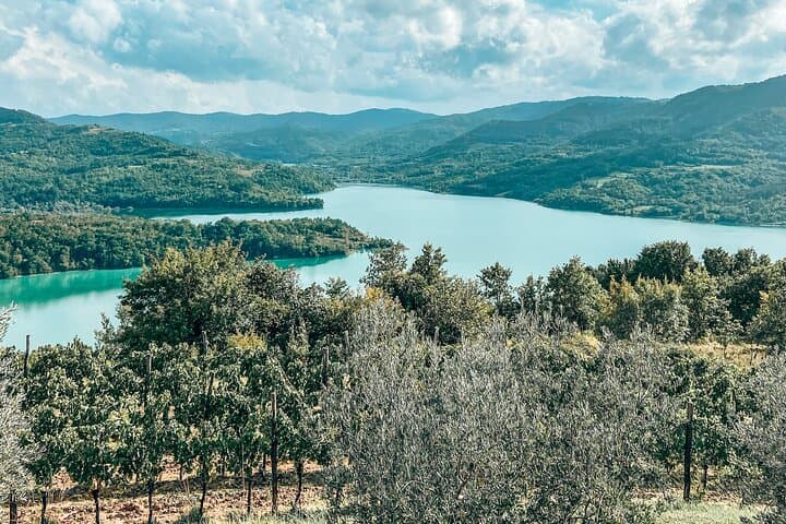 Private Truffle Hunting and Cooking Experience near Motovun, Istria photo 1