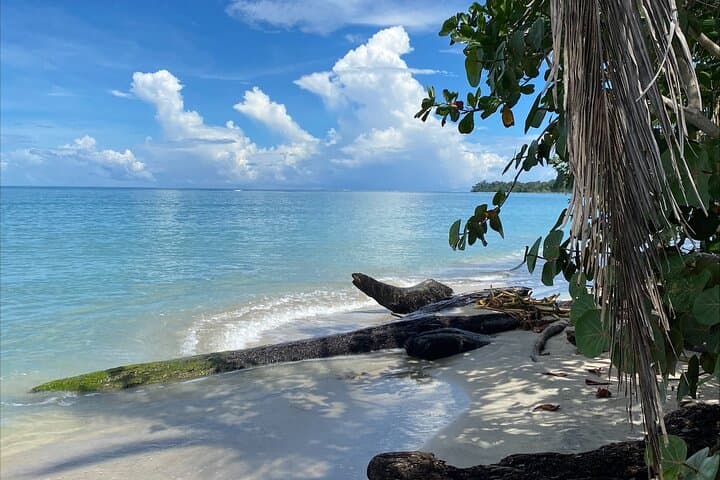 Cahuita Coastal Hike: Rainforest Trails & Reef Views on Costa Rica’s Caribbean Shore photo 2