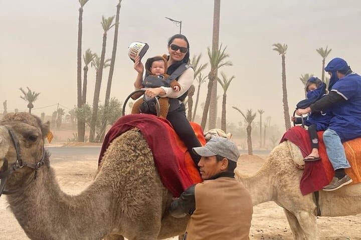Full-Day Private Marrakech Excursion from Casablanca — Souks, Palaces & Camel Ride photo 2