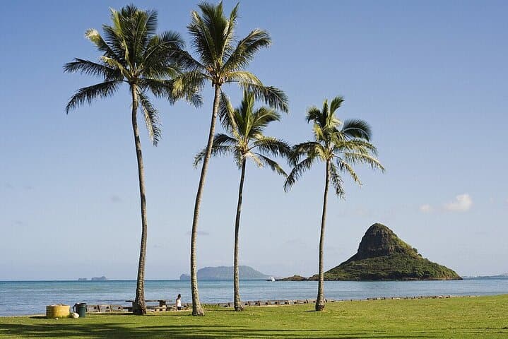 Circle Island Oahu: Small-Group Day Tour from Honolulu to North Shore and Back photo 4