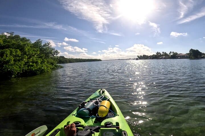 Mangrove Tunnel Pedal Kayak Eco-Tour — Anna Maria Island’s Hidden Waterways photo 3