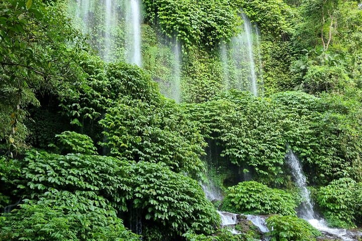 Benang Kelambu Waterfall & Pusuk Monkey Forest Day Tour — Lombok