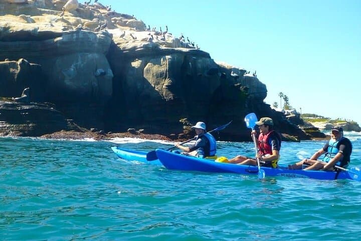 Paddling the La Jolla Sea Caves: A Guided Single-Kayak Adventure photo 3