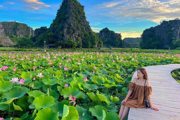 Ninh Binh Luxury Day Tour: Trang An, Hang Mua & Bich Dong — Practical Guide