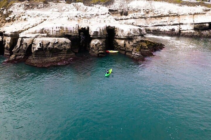 Paddling the La Jolla Sea Caves: A Guided Single-Kayak Adventure photo 4