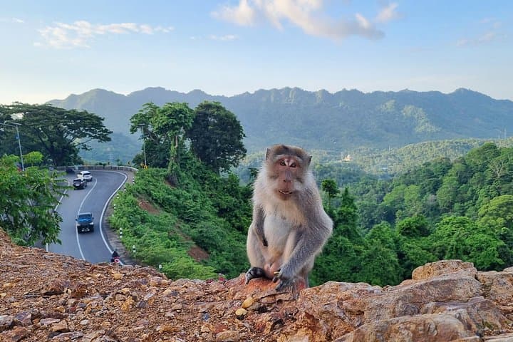 Lombok Rice Terrace Walking Tour with Benang Kelambu Waterfall & Monkey Forest photo 5