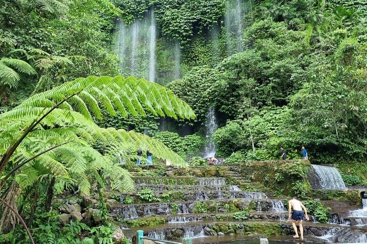 Benang Kelambu Waterfall & Pusuk Monkey Forest Day Tour — Lombok photo 5