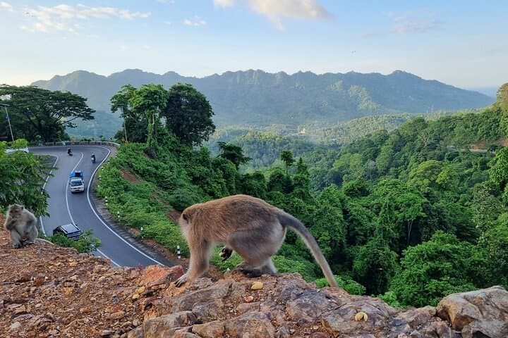 Benang Kelambu Waterfall & Pusuk Monkey Forest Day Tour — Lombok photo 3