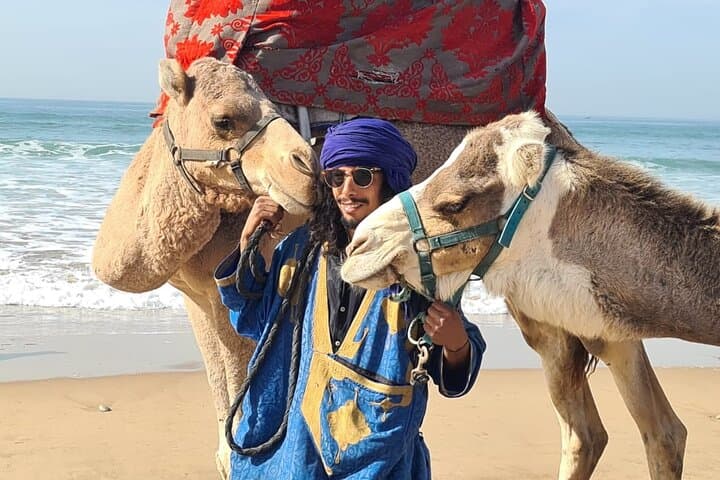 Coastal Camel Ride from Awrir or Tamraght — 1-Hour Beach Trek Near Agadir photo 1