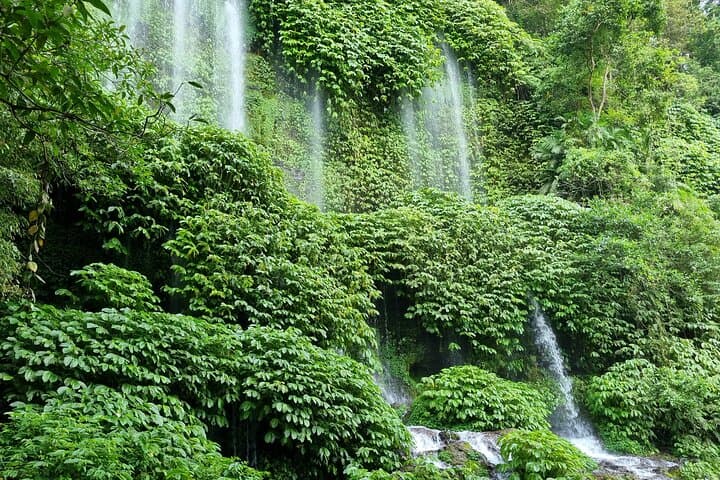 Lombok Rice Terrace Walking Tour with Benang Kelambu Waterfall & Monkey Forest photo 2