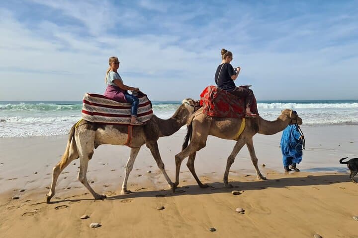 Coastal Camel Ride from Awrir or Tamraght — 1-Hour Beach Trek Near Agadir photo 2