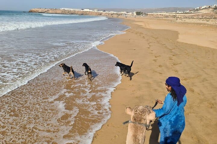 Coastal Camel Ride from Awrir or Tamraght — 1-Hour Beach Trek Near Agadir photo 3