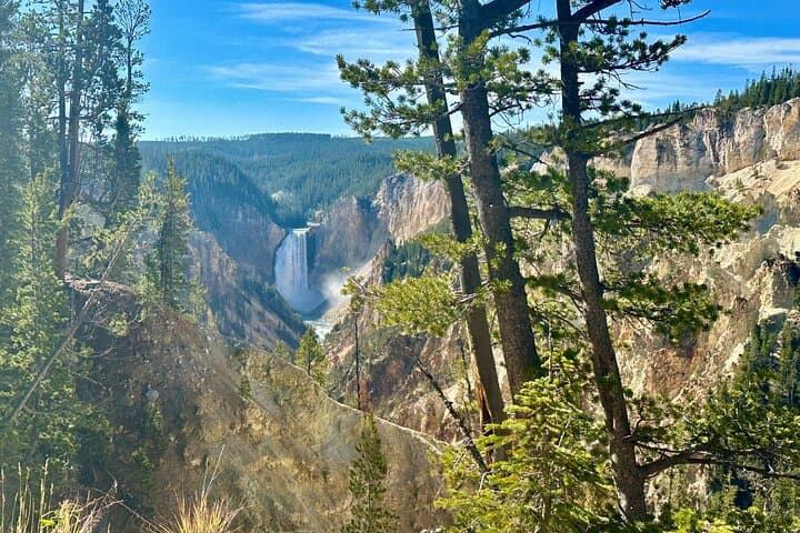 Yellowstone Lower Loop Full-Day Tour: Old Faithful, Grand Prismatic & Hayden Valley Wildlife photo 5