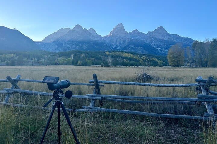 Half-Day Grand Teton Scenic and Wildlife Tour from Jackson Hole photo 4