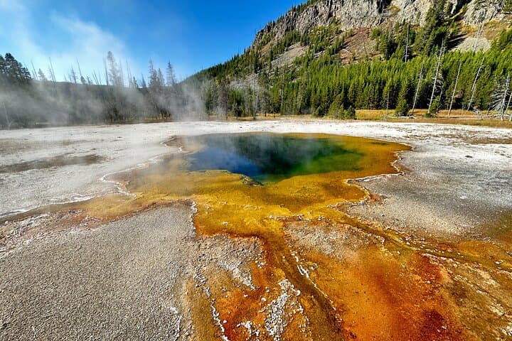 Yellowstone Lower Loop Full-Day Tour: Old Faithful, Grand Prismatic & Hayden Valley Wildlife
