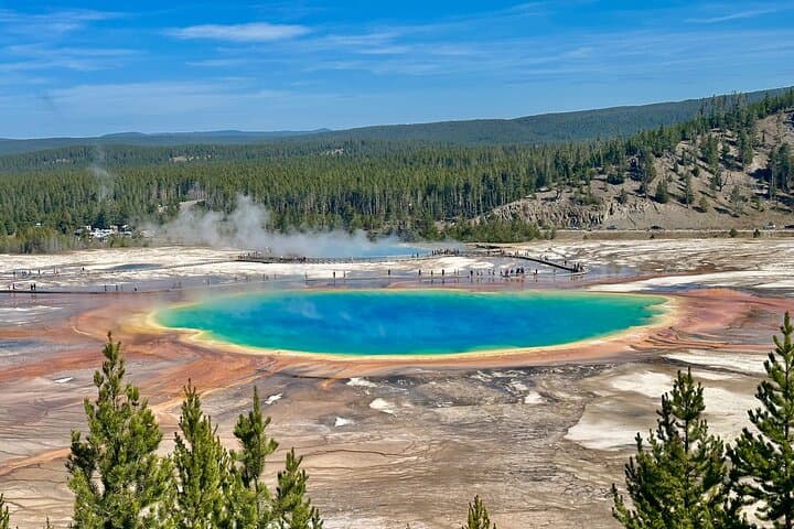 Yellowstone Lower Loop Full-Day Tour: Old Faithful, Grand Prismatic & Hayden Valley Wildlife photo 4