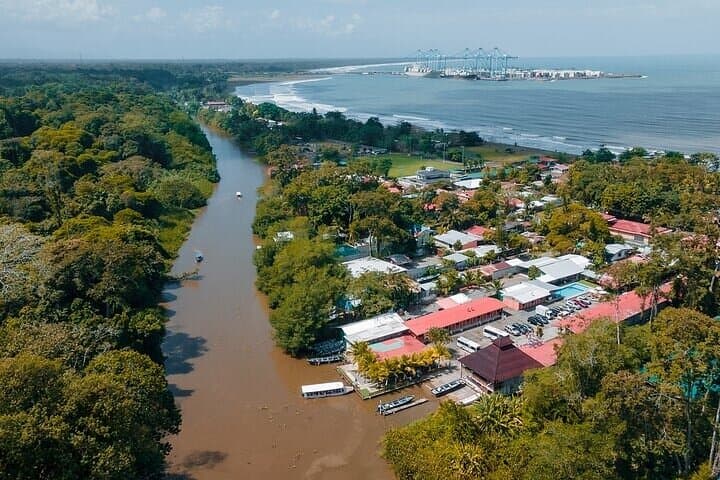 Tortuguero Canals & Maratopia Butterfly Garden: Limón Wildlife Tour photo 4