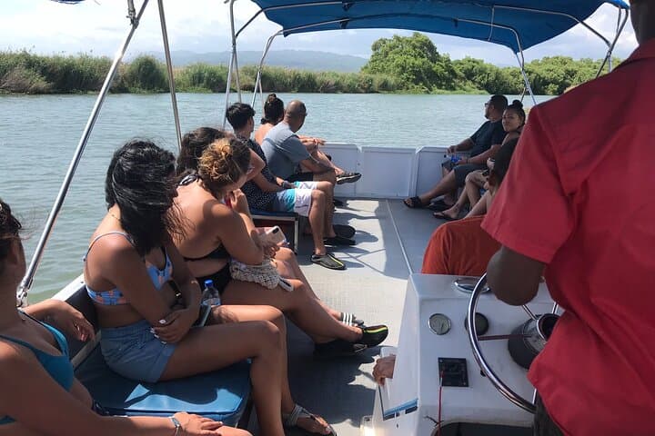 YS Falls, Black River Safari & Pelican Bar — Full-Day Waterfall, Crocodile and Driftwood Bar Tour photo 4