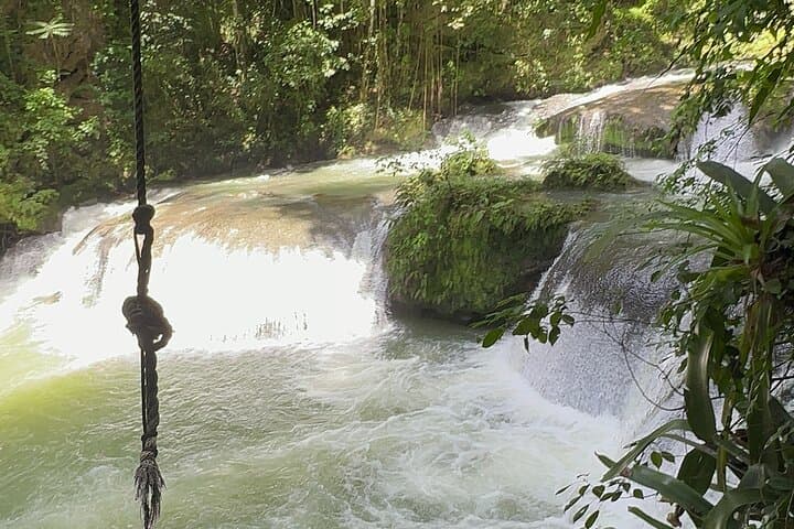 YS Falls, Black River Safari & Pelican Bar — Full-Day Waterfall, Crocodile and Driftwood Bar Tour photo 2