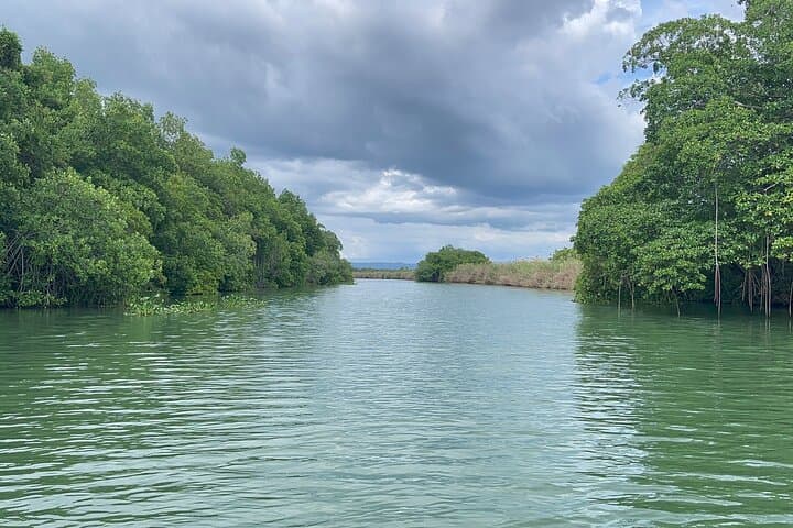 YS Falls, Black River Safari & Pelican Bar — Full-Day Waterfall, Crocodile and Driftwood Bar Tour photo 3