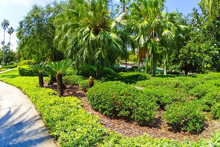 Discover Orlando’s Downtown on a Private 2-Hour Walking Tour photo 2