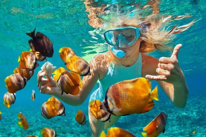 1-Hour Private Snorkeling in Montego Bay: Coral Reefs & Tropical Fish