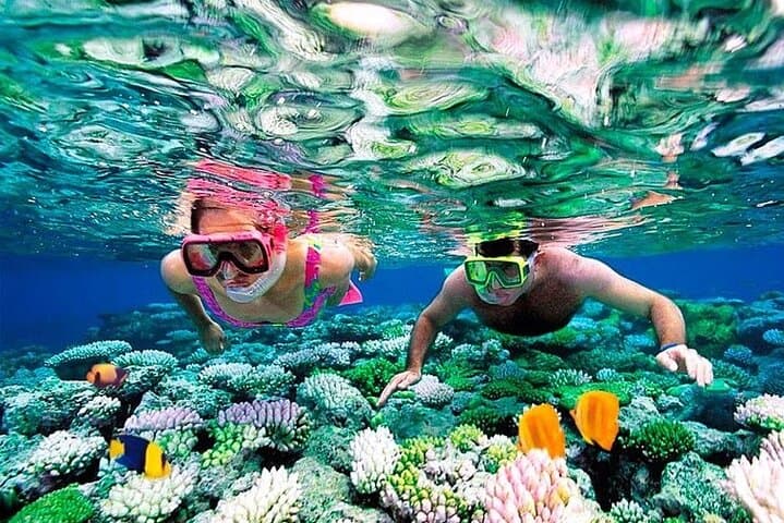 1-Hour Private Snorkeling in Montego Bay: Coral Reefs & Tropical Fish photo 3