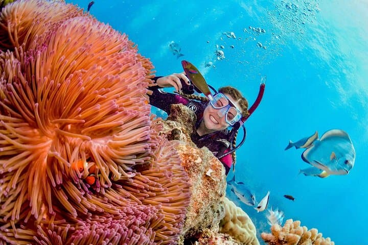 Montego Bay Margaritaville Jetski or Snorkel: Quick Caribbean Thrill on the Hip Strip