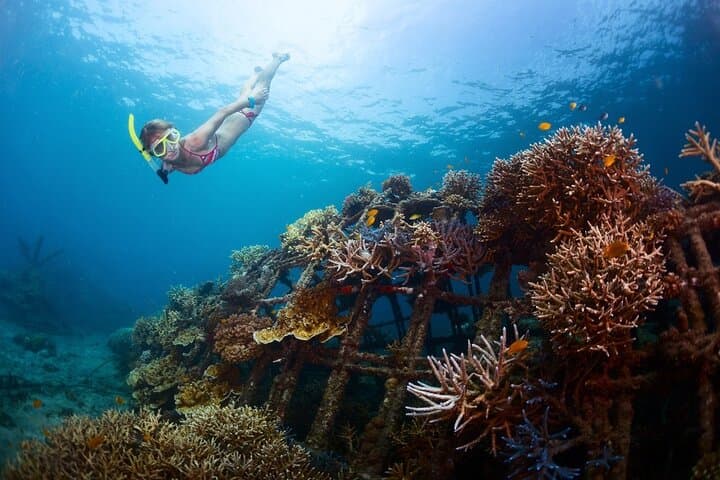 Montego Bay Margaritaville Jetski or Snorkel: Quick Caribbean Thrill on the Hip Strip photo 3