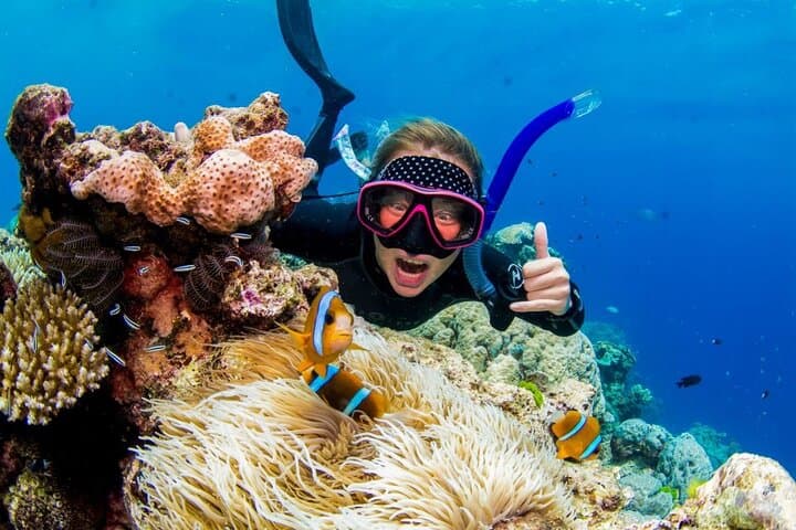 Montego Bay Margaritaville Jetski or Snorkel: Quick Caribbean Thrill on the Hip Strip photo 5