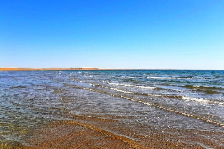 Overnight Yurt Camp & Aydarkul Lake: 2-Day Desert Adventure from Samarkand photo 4