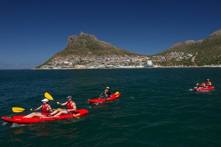 Sea-Level Secrets: Guided Kayak Tours and Marine Life in Hout Bay photo 3