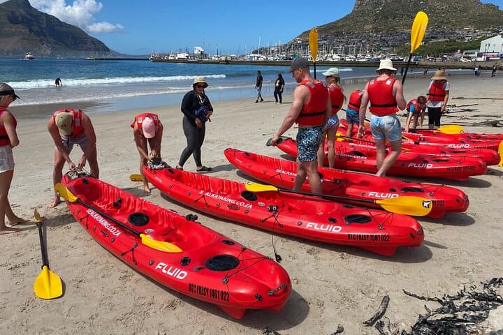 Sea-Level Secrets: Guided Kayak Tours and Marine Life in Hout Bay photo 4