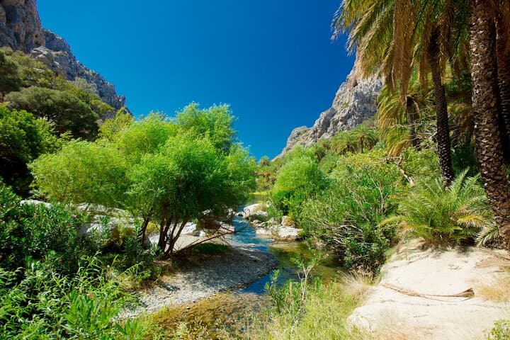 Preveli Beach & Palm Forest Full-Day Tour with Lunch Box — Crete’s River of Palms photo 4