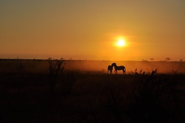 2-Day Tsavo East Safari: Red Elephants, Big Five & Waterhole Lodging photo 4