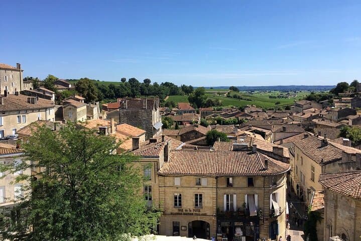 Saint-Émilion Full-Day E‑Bike Wine Tour from Bordeaux photo 5