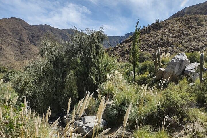 Outdoor BBQ at Finca La Cruz: Asado, Mountains & Mate near Salta photo 6